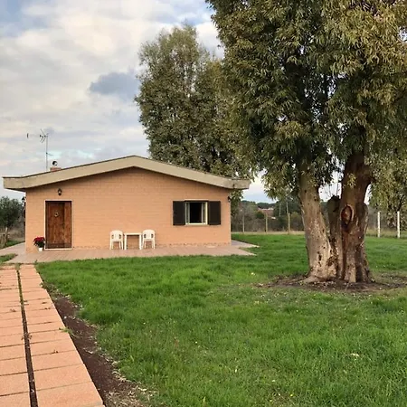 La Senza Tempo * Aprilia